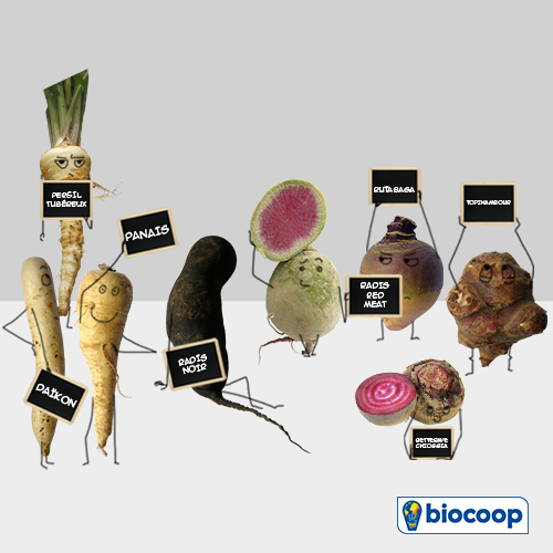 Les légumes du mois de février : les légumes originaux Les légumes du mois de février : les légumes originaux