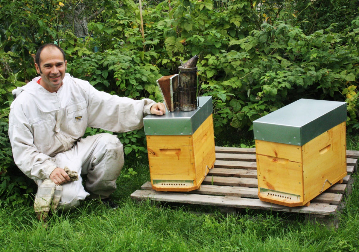 Le Rucher des Musiciennes, notre apiculteur local !